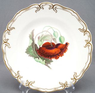 Mid 19th Century British Hand Painted Floral & Gold Bone China Plates