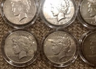 1934 - 1935 Silver Peace Dollar Set Of 10 XF 2