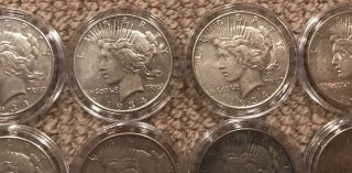 1934 - 1935 Silver Peace Dollar Set Of 10 XF 3