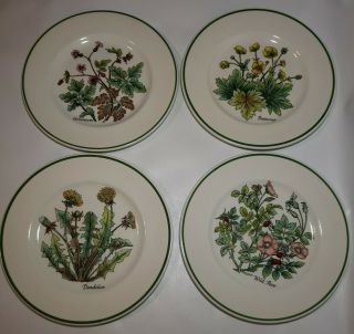 Set Of 6 Tiffany & Co Wild Flowers Dessert Plates Made In England 7 3/8 "