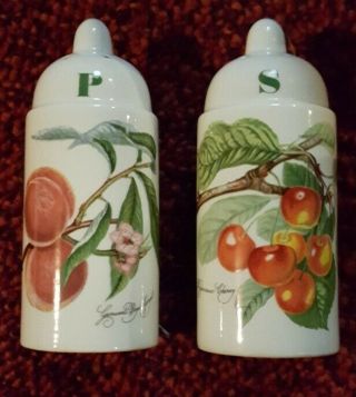 Portmeirion Pomona Salt Pepper Shakers Cherry Peach Both Stoppers England
