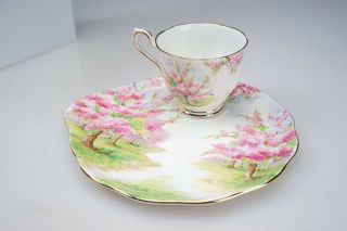 Fine Vintage Royal Albert " Blossom Time " Tennis Set Tea Cup & Saucer Plate