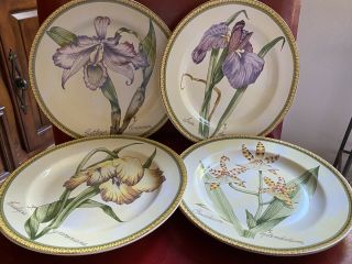 Set Of 4 American Atelier Botanical Multicolor 8” Plates Stoneware