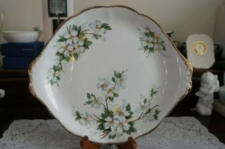 Vintage Royal Albert White Dogwood Handled Cake Plate,  England