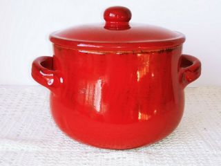 Fabrique’ En Italie De Silva Made In Italy Red Terracotta Baking Serving Dish