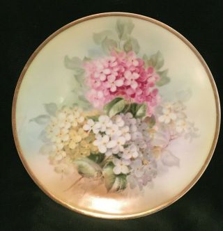 Antique Sevres,  Bavaria Plate Hand - Painted Hydrangea Flowers " Hortensia " 10 "