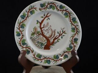 Tiffany & Co Squirrel Plate By Johnson Brothers 8 " Diameter