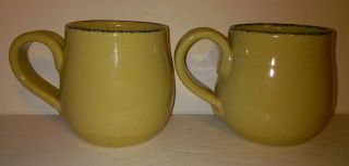 2 HOME & GARDEN PARTY FLORAL STONEWARE mugs 4 