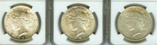 1922,  1923 & 1924 Silver Peace Dollars All Ngc Ms - 63 Group Lists For $156