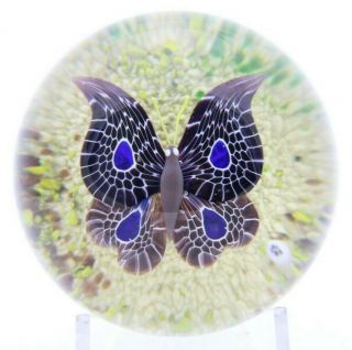 Large MARVELOUS Vintage BACCARAT Vibrant BUTTERFLY Glass Art PAPERWEIGHT Boxed 3