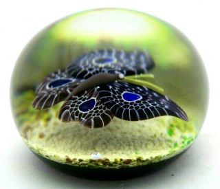 Large MARVELOUS Vintage BACCARAT Vibrant BUTTERFLY Glass Art PAPERWEIGHT Boxed 4
