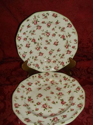 2 Home Trends Red Rose Chintz Pattern Salad Plates.