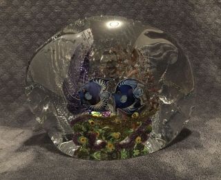 XXL Chris Heilman Vivid Fish Coral Reef Aquarium Art Glass Sculpture 2