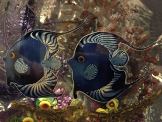 XXL Chris Heilman Vivid Fish Coral Reef Aquarium Art Glass Sculpture 4