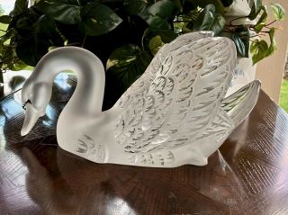 Lalique Head Down Swan Signed Guaranteed Authentic Retail $7,  500 5