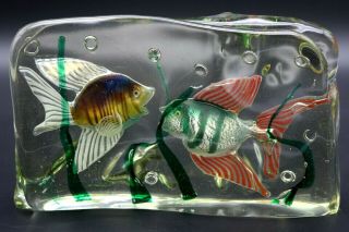 Large 10 " Splendid Murano Colorful Fish Aquarium Art Glass Sculpture Block Led