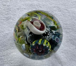 Mark Eckstrand Signed 1993 Art Glass 3.  5 " Sea Aquarium Coral Paperweight