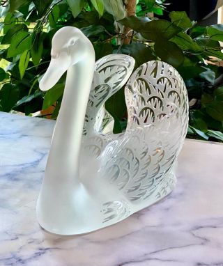 Lalique Head Up Swan Signed Guaranteed Authentic Retail $7,  500