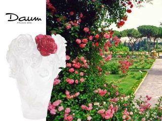DAUM White Vase & Red Flower Rose Passion 05287 - 6 FRANCE CRYSTAL GLASS 3