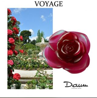 DAUM White Vase & Red Flower Rose Passion 05287 - 6 FRANCE CRYSTAL GLASS 4