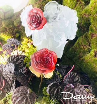 DAUM White Vase & Red Flower Rose Passion 05287 - 6 FRANCE CRYSTAL GLASS 6