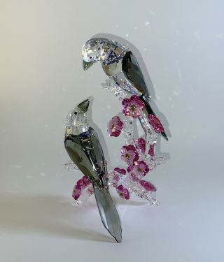 Swarovski Crystal Figurine Statue Magpie Birds 5004639