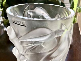 Lalique Crystal Martinets Vase,  Signed,  Authentic (Martinet) Retail $2800 2