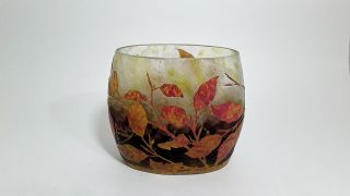 Daum Nancy - Signed - Cameo Art Glass / Vase