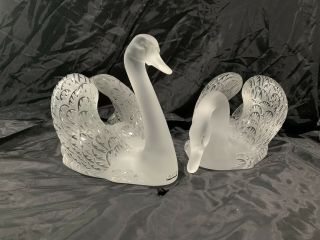 Lalique Swan " Head Down ",  Lalique Swan Head Up Swimming.  Stunning Pair