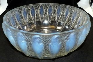 R.  Lalique France Signed Perruches Opalescent Large Heavy Art Glass Bowl 1931