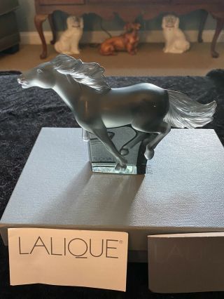 Lalique Kazak Galloping Cheval Horse Greycrystal Bnib Signed,  Box Discontinuerare