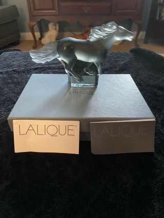 Lalique Kazak Galloping Cheval Horse GreyCrystal BNIB Signed,  Box DiscontinueRARE 2