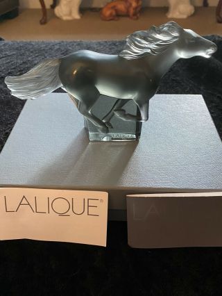 Lalique Kazak Galloping Cheval Horse GreyCrystal BNIB Signed,  Box DiscontinueRARE 3