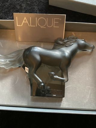 Lalique Kazak Galloping Cheval Horse GreyCrystal BNIB Signed,  Box DiscontinueRARE 5