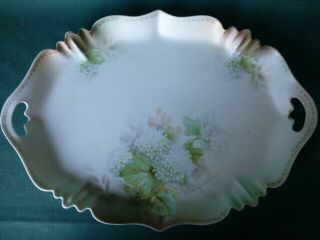 Antique R S Prussia Floral Decorated Red Star Mark Dresser Tray
