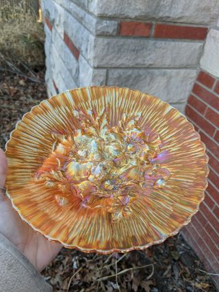 Northwood Carnival Glass Poppy Show Plate Marigold 3