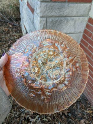 Northwood Carnival Glass Poppy Show Plate Marigold 4