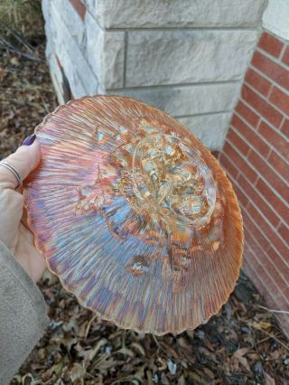 Northwood Carnival Glass Poppy Show Plate Marigold 5