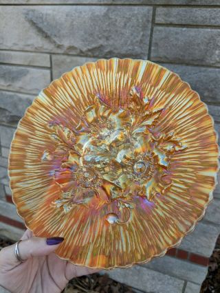 Northwood Carnival Glass Poppy Show Plate Marigold 6