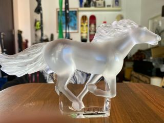 Lalique Kazak Galloping Horse Frosted Crystal Sculpture Signed with Labels 2