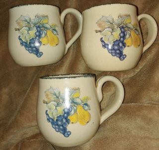 Home And Garden Party Stoneware Fruit Mugs Set Of Three