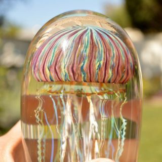 Satava Gold Ruby Jellyfish Hand Crafted Glass 5.  5 Inches Tall Signed