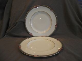 Set Of 2 Royal Doulton Orchard Hill Dinner Plates