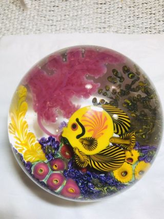 Chris Heilman " Coral Reef/butterfly Fish " Magnum Art Glass Paperweight