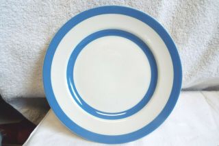 Vintage Blue/white Cornishware T.  G.  Green England Green Mark Plate 9 1/8 "