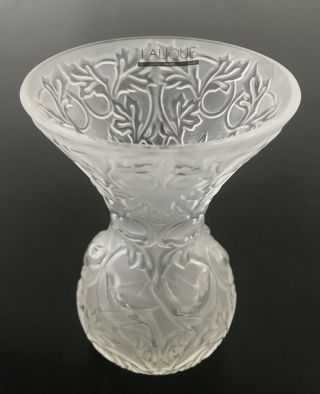 Lalique France Frosted Crystal Arabesque Vase 5.  25 " With Label Tag