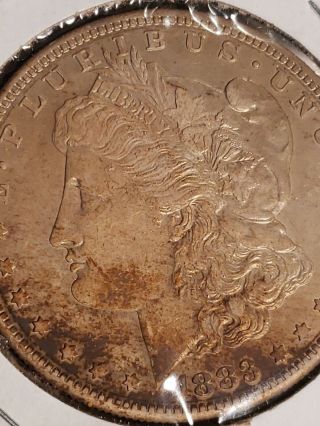 1883 S Morgan Dollar Solid Au Toned Breast Feathers Better Date