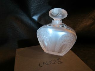 Lalique Perfume Bottle Singapour Mib With Insert