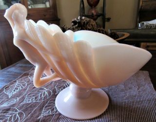 Cambridge Glass Crown Tuscan Nude Lady Footed Shell Seashell Bowl Compote