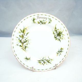 Royal Albert Flower Of The Month (montrose) Salad Plate January/snowdrops Read